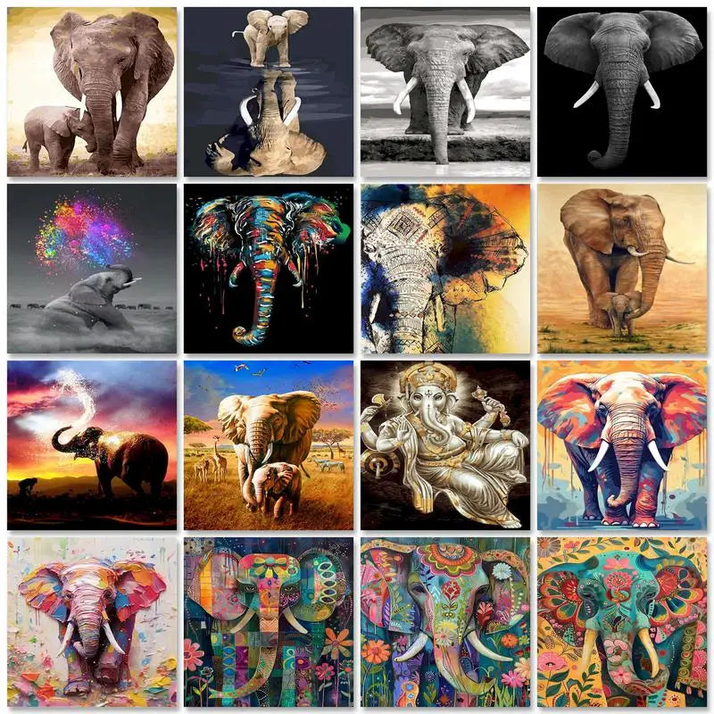 Elephant Paint by Number Kits for Adults