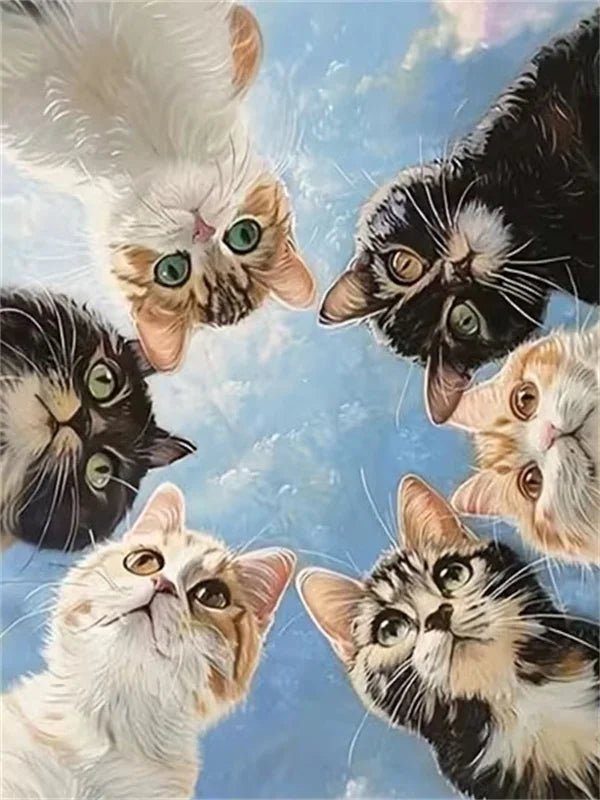 Cat Paint by Number Kits for Adults