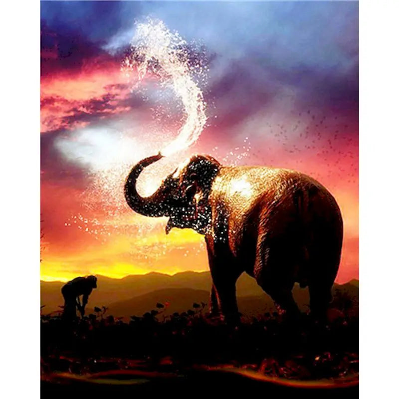 Elephant Paint by Number Kits for Adults