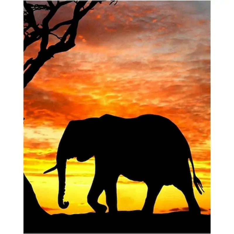 Elephant Paint by Number Kits for Adults