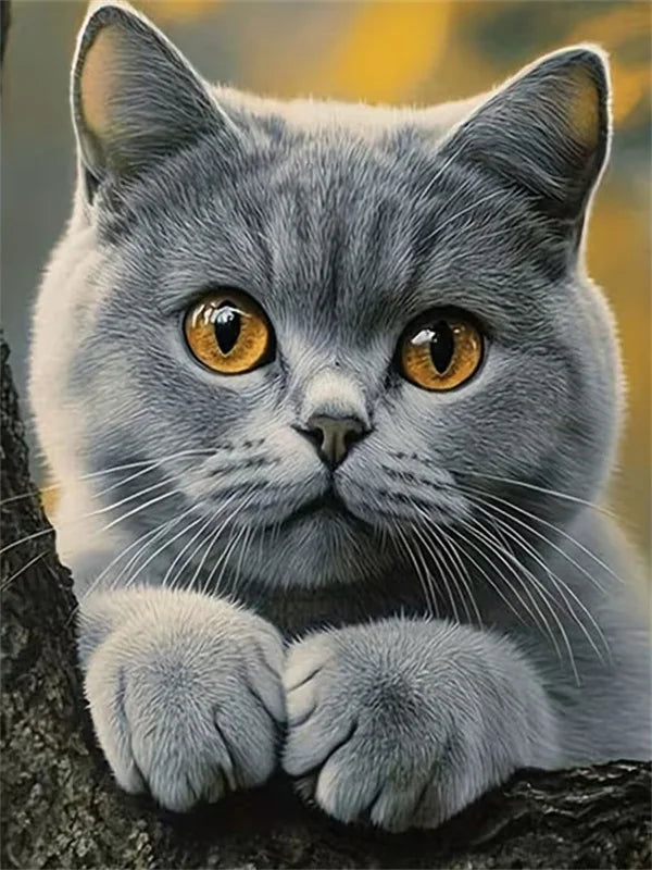 Cat Paint by Number Kits for Adults