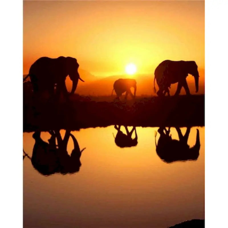 Elephant Paint by Number Kits for Adults