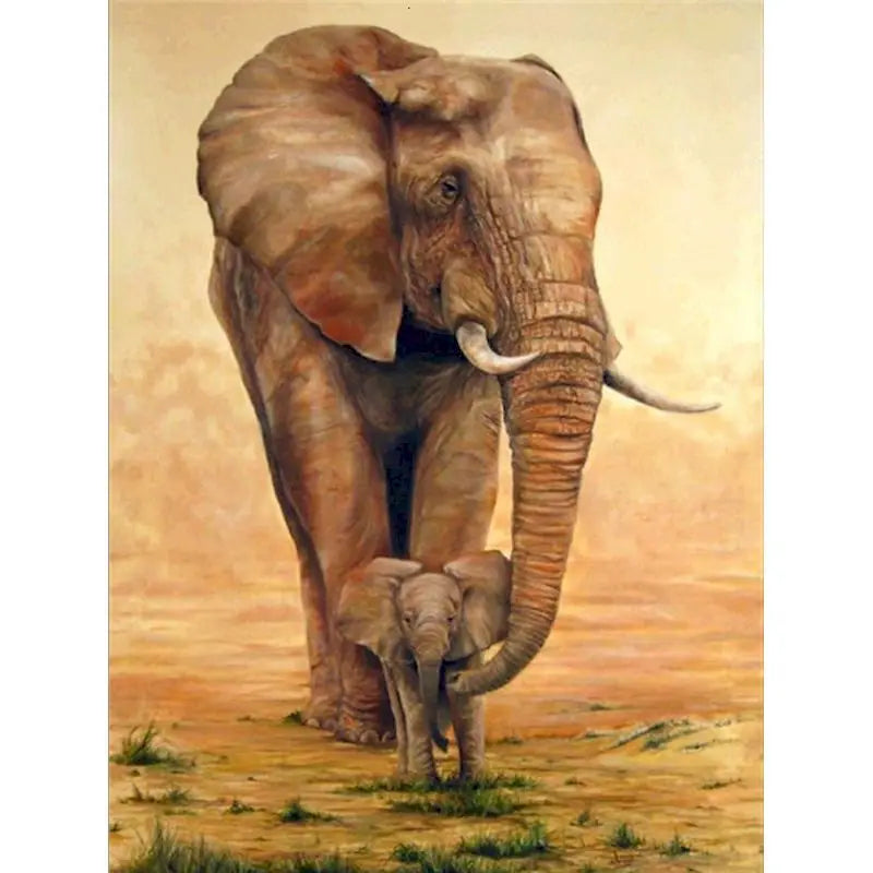 Elephant Paint by Number Kits for Adults