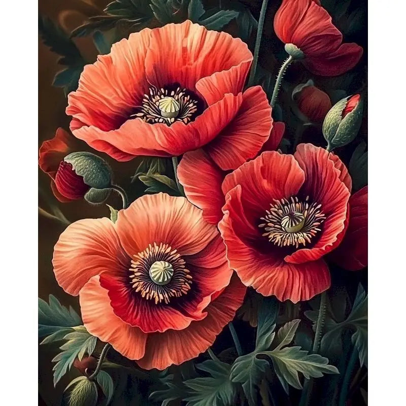 Bold Blooms & Bouquets Paint by Number Kits for Adults
