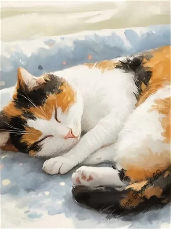 Cat Paint by Number Kits for Adults