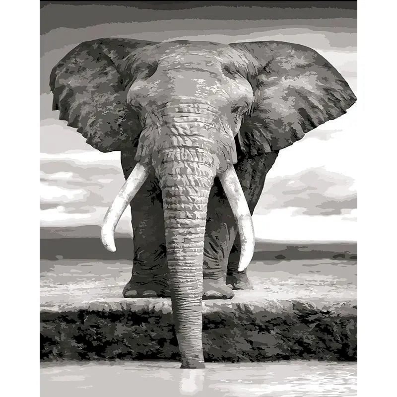Elephant Paint by Number Kits for Adults